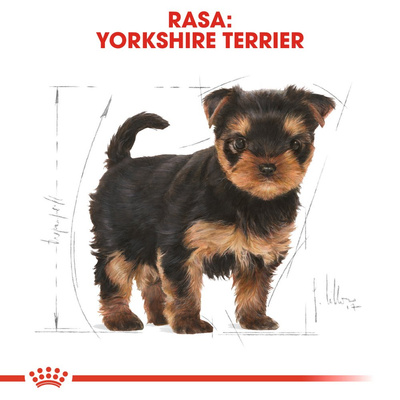 ROYAL CANIN Yorkshire Terrier Puppy 500g 