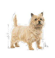 ROYAL CANIN CCN Mini Light Weight Care 3kg