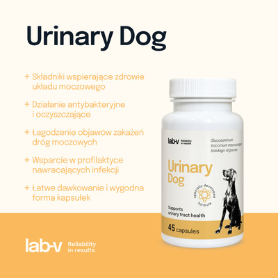 LAB-V Urinary Dog - Ondersteuning bij urineweginfecties bij honden 45 capsules