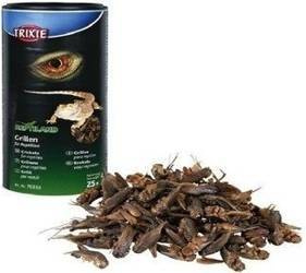 Trixie Gedroogde Krekels 25g