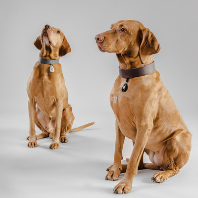 Inmoless Ultrasoon vlooien- en tekenbestrijdingsmiddel voor huisdieren Inmoless Pet - Geel