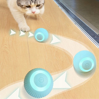 Interactief speeltje voor kat/hond die ontsnapt aan led-bal 