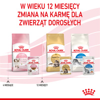 ROYAL CANIN Kitten Instinctive in Saus 12x85g