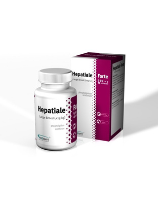 VETEXPERT Hepatiale Forte Large Breed 40 Tabletten