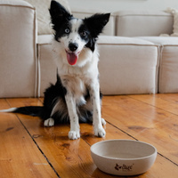 DINGO-bamboevezel anti-slip kom - 200ml 