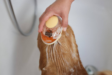 MagicBrush badborstel, 11,5 x 7,5 cm, goud, 