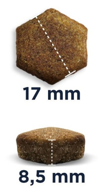 Eukanuba Adult Large Breed Weight Control Chicken 15kg + GRATIS een verrassing voor je hond!