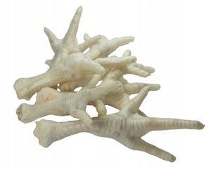 ONERS Kippenpootjes Wit 1kg