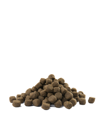 Versele-Laga Opti Life Prime Adult Salmon Graanvrije voeding voor volwassen honden met zalm 12,5 kg