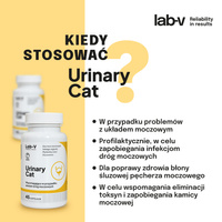 Lab-v Urinary Cat - Urinewegondersteuning voor katten 45 capsules