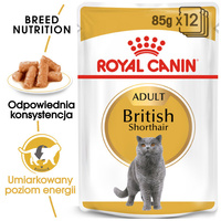 ROYAL CANIN British Shorthair Adult 12x85g 