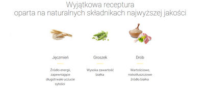 JOSERA Adult Licht & Vitaal 2x12,5kg