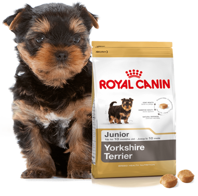 ROYAL CANIN Yorkshire Terrier Puppy 500g 
