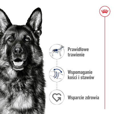ROYAL CANIN Maxi Adult 15kg