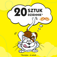 DREAMIES Kaas Kattensnack 60g