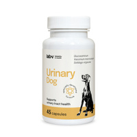 LAB-V Urinary Dog - Ondersteuning bij urineweginfecties bij honden 45 capsules