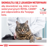 ROYAL CANIN Veterinary Renal Hypoallergenic Feline 400g
