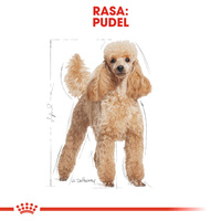 ROYAL CANIN Poedel Adult 1.5kg