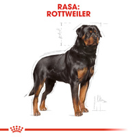 ROYAL CANIN Rottweiler Adult 12kg 