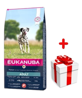 Eukanuba Adult Large Salmon&Barley 12kg + GRATIS een verrassing voor je hond!