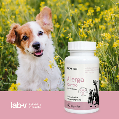 LAB-V Allerga Control - Ondersteuning bij allergiesymptomen 45 capsules 