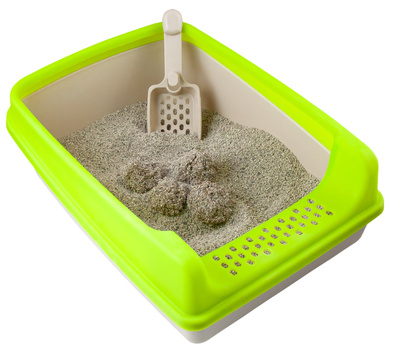 Groene kattenbak met peddel 20cm x 35xm x 50cm