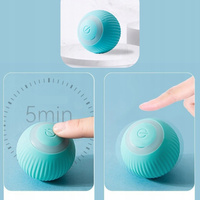 Interactief speeltje voor kat/hond die ontsnapt aan led-bal 