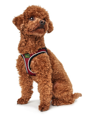 Hunter Hilo Comfort Hondenharnas Rood Maat XS 