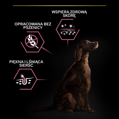 Purina Pro Plan Large Adult Athletic Optiderma Zalm & Rijst 14kg 