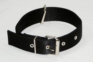 Dingo Halsband met Losse Gesp voor Honden Leiband Zwart 70cm