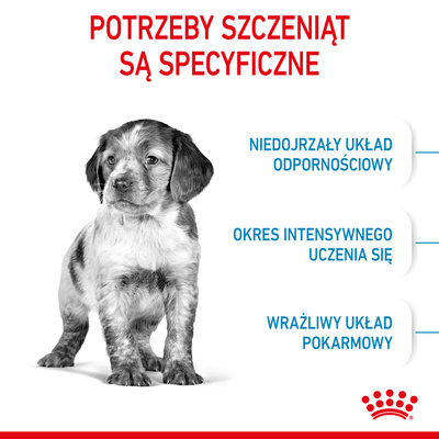 ROYAL CANIN Medium Puppy 1kg 