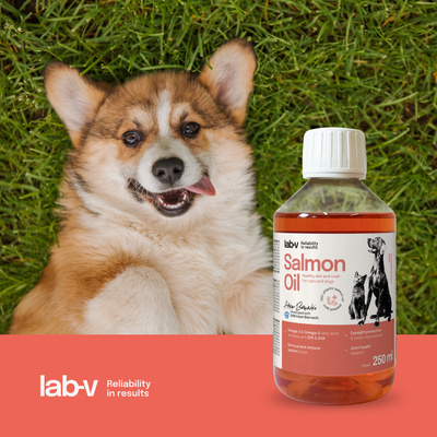 Lab-V 100% Zalmolie voor honden en katten van alle leeftijden 250 ml Koudgeperst