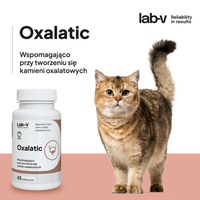 LAB-V Oxalatic - Ondersteuning bij steenvorming bij kattenoxalaat 90 capsules