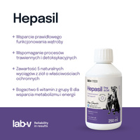 Lab-v Hepasil Hond &amp; Kat preparaat ter verbetering van de leverfunctie voor honden en katten 250 ml