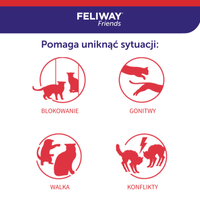 Ceva Animal Health Polska Sp. z O.o Feliway Friends verstuiverpatroon 48ml 