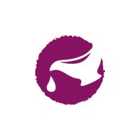 JOSERA Mini Zalm & Kip 10kg