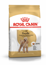 ROYAL CANIN Poedel Adult 1.5kg