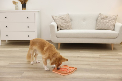 Kerbl educatief hondenspeeltje, uil, roze/bruin, 30 x 28 cm