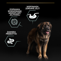 Purina Pro Plan Large Robust Optidigest Lamb 14kg