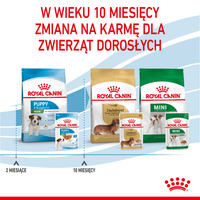 ROYAL CANIN Mini Puppy 12x85g