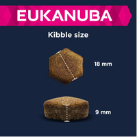 Eukanuba Adult Large Breed Lamb&Rice 12kg