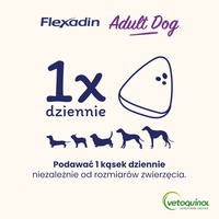 VETOQUINOL Flexadin Volwassen Hond 60 grepen