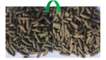 Versele-Laga Complete Cuni Sensitive voor konijnen 500g