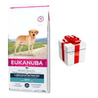 Eukanuba Adult Labrador Retriever 12kg + GRATIS een verrassing voor je hond!