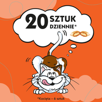 DREAMIES Kattensnack Kip 60g -