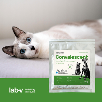 LAB-V CONVALESCENT dieetvoer voor honden en katten 20 g