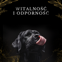 Lab-V 100% Zalmolie voor honden en katten van alle leeftijden 500ml Koudgeperst