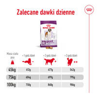 ROYAL CANIN Giant Adult 15kg