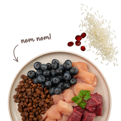 BOSCH Sanabelle Adult Sensitive Lamm 8kg