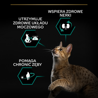 PRO PLAN Gesteriliseerd Renal kalkoen-rijk kattenvoer 10kg